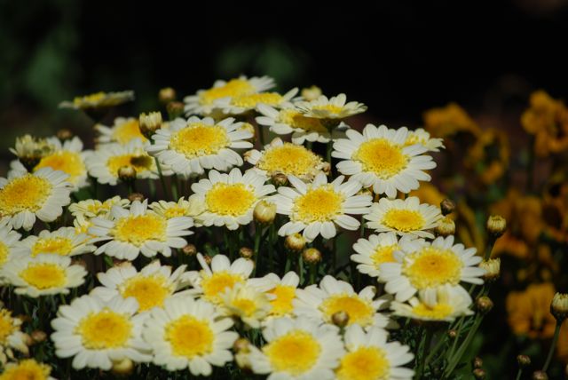April-2008
