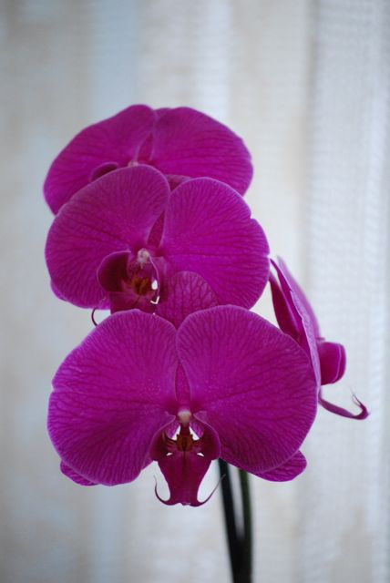 April-2008