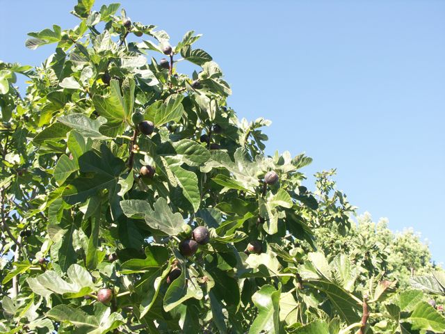 Oct-2007