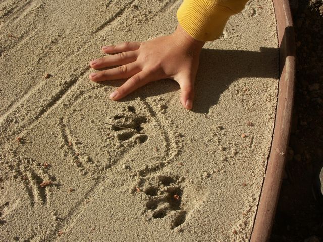 Oct-2007