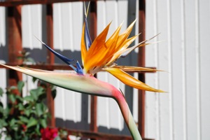 April-2008