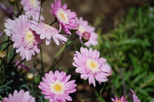 April-2008