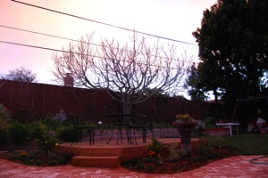 March-2008