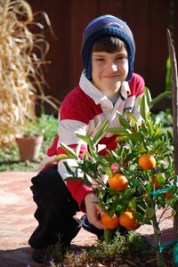 Jan-2008