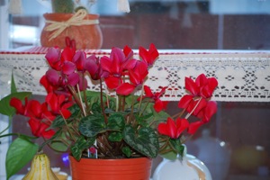 Dec-2007