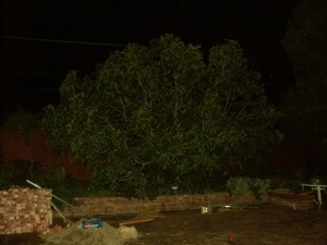 Oct-2007