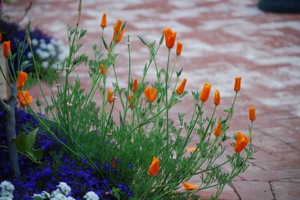 12-May-2008